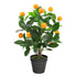 Artificial Mini Orange Tree